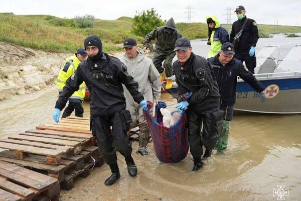 На Миколаївщині втопилася жінка