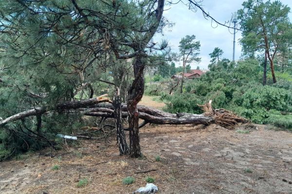 буря у миколаєві