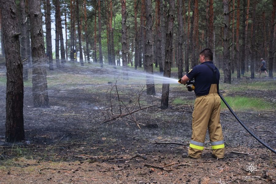 Пожежа в Миколаївській області