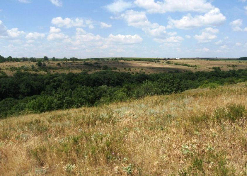 Землі лісового фонду Миколаївщини