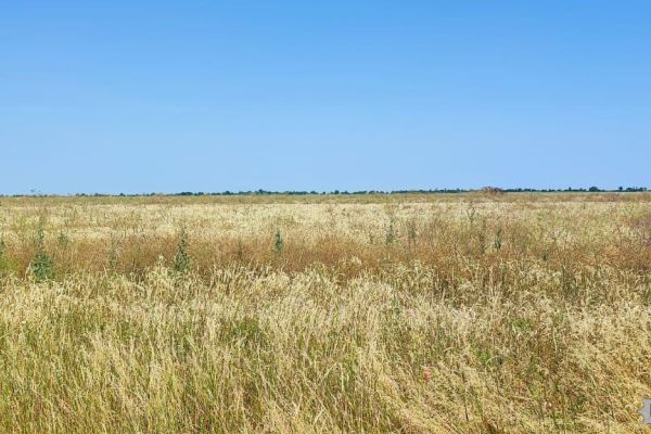 На Миколаївщині захопили земельні ділянки ЗСУ