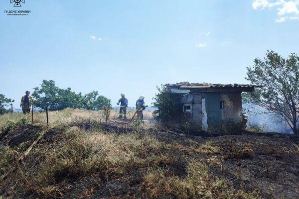 Пожежа сухої трави в Очакові