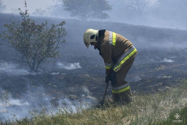 пожежа у Миколаївській області