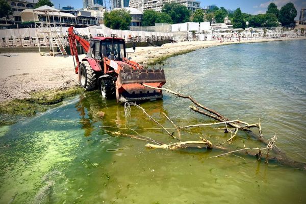 Заборона на пляжах Одеси