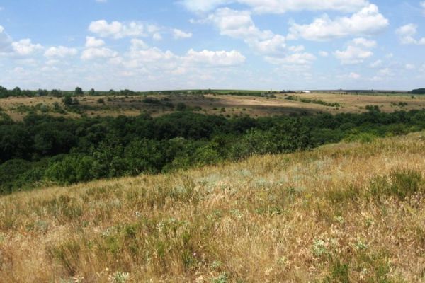 Землі лісового фонду Миколаївщини