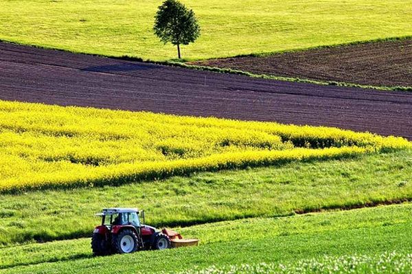 Незаконно передали ділянку у Вознесенському районі