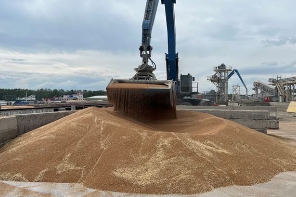 зернова угода