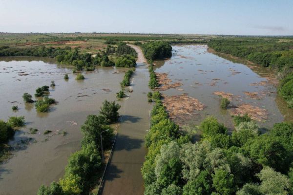 Затоплені поля Херсонщини