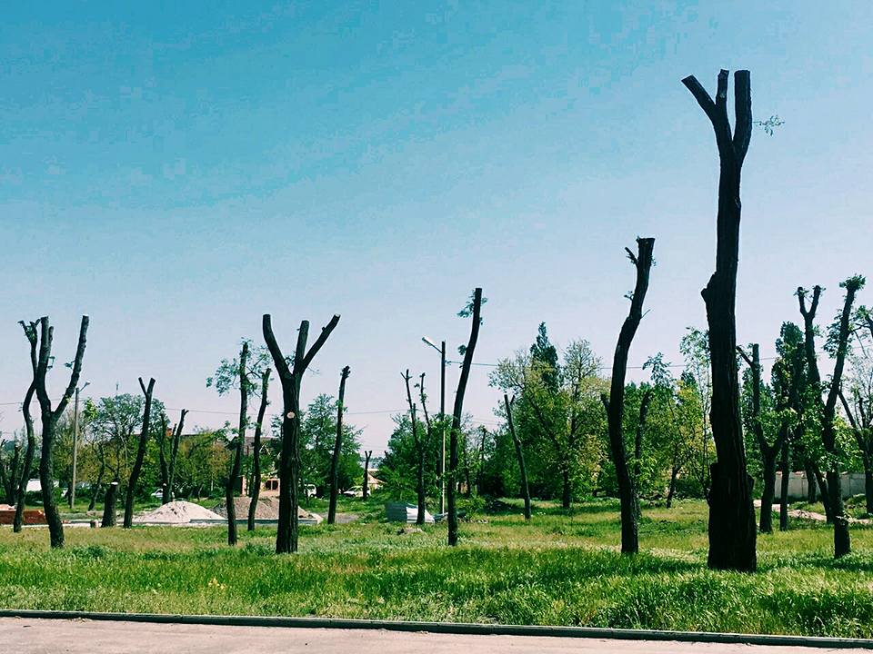 сквер после обрезки деревьев (фото Андрея Лохматова)