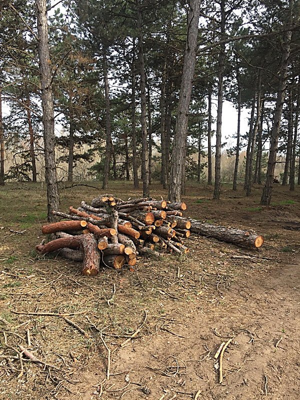 Фото: «Корабелов.Инфо».