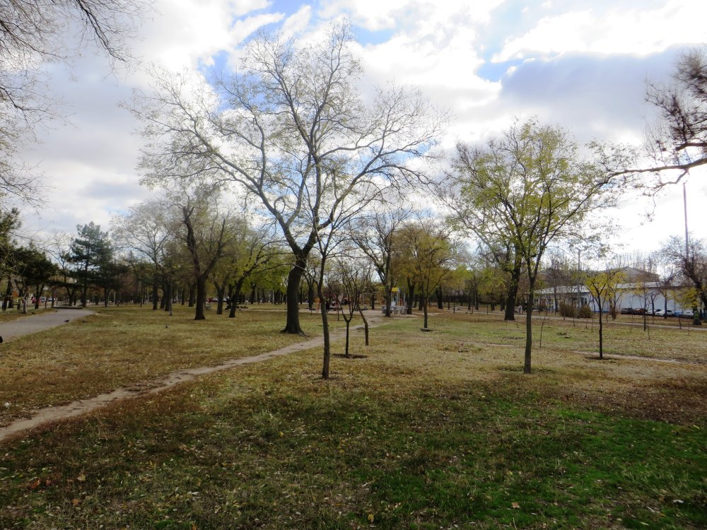 сквер "Пионерский"