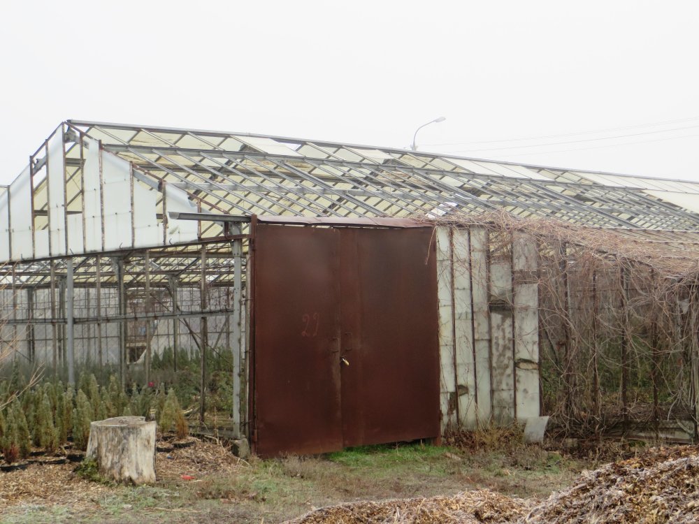 одна из теплиц "Николаевзеленхоза"