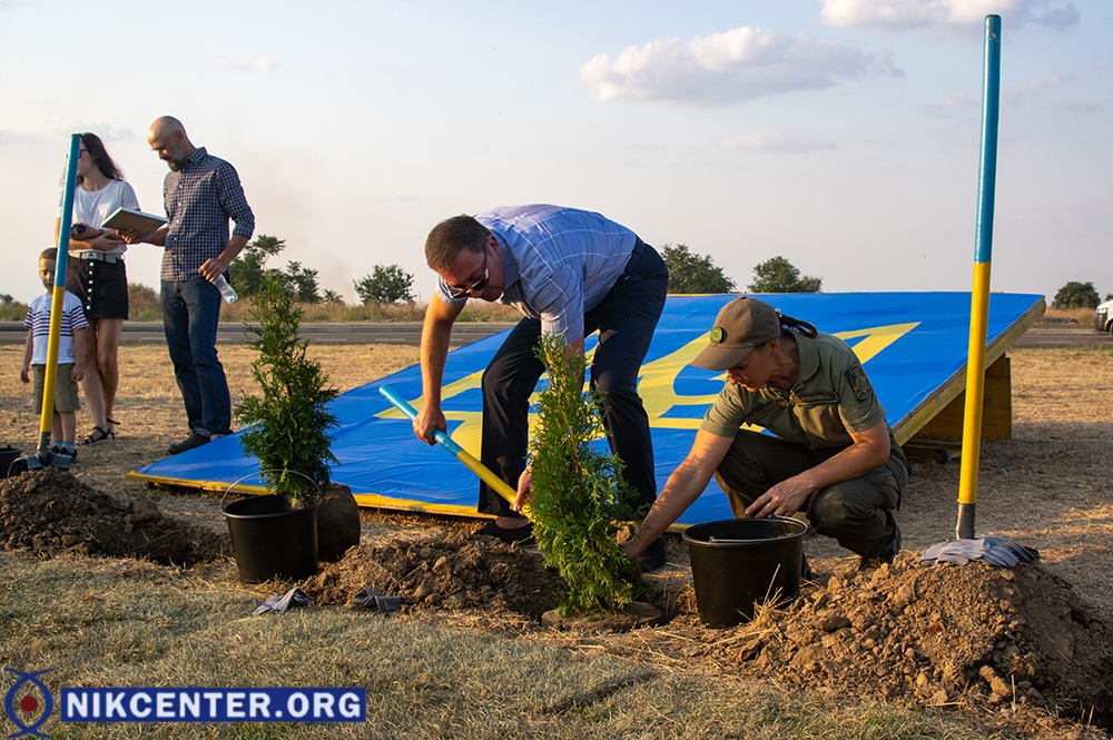 На транспортном кольце на проспекте Сенявина в честь праздника посажены 30 деревьев