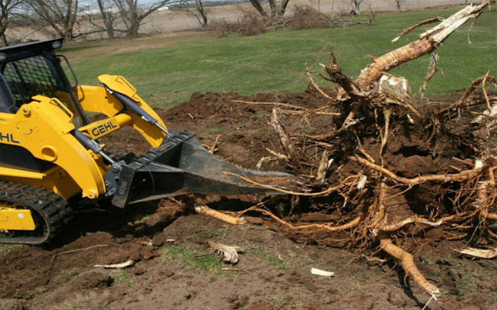 В департаменте ЖКХ планируют потратить 7,8 млн. на удаление деревьев и ...
