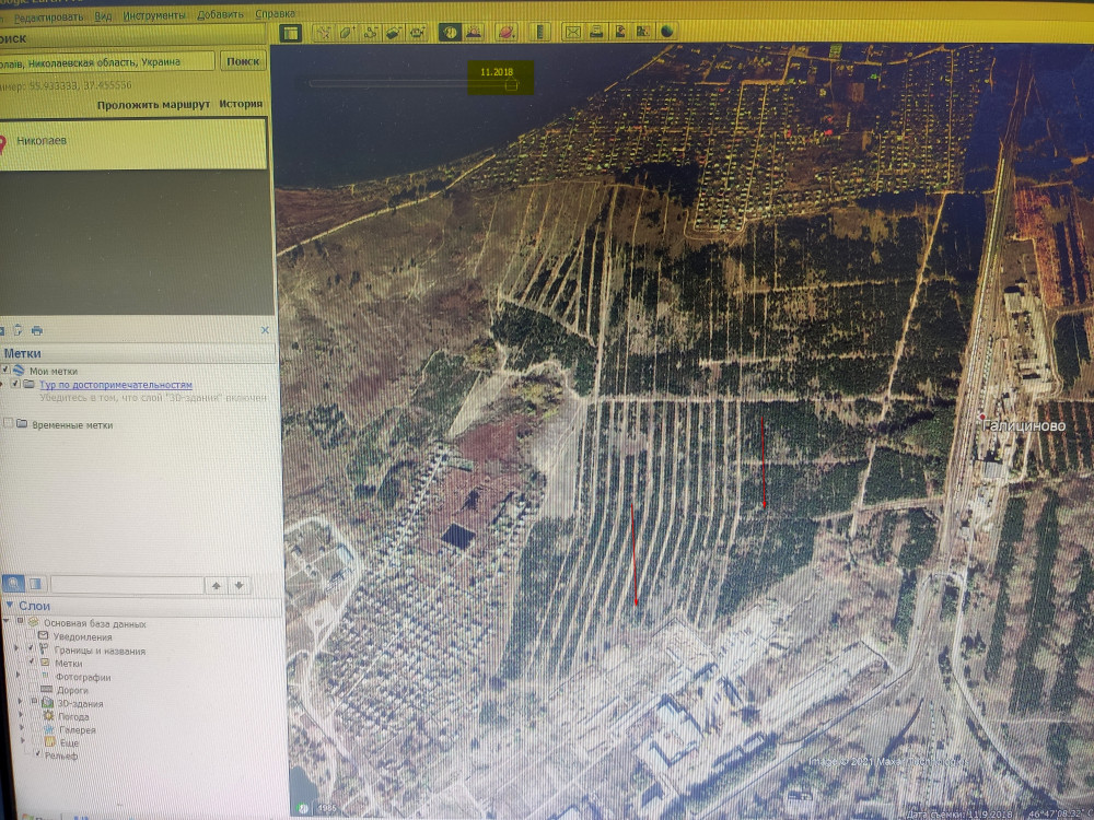 На спутниковом снимке, сделанном в ноябре 2018г, видно, что лес еще есть