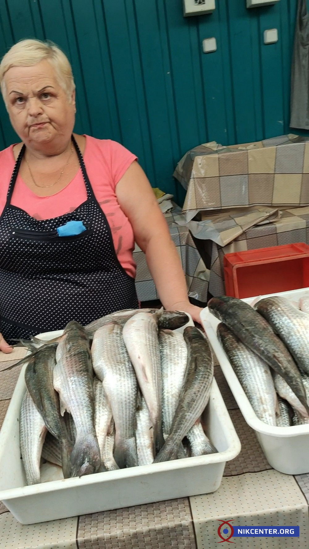 А это рыба лобань семейства кефалевых. Снимки сделаны 29 августа