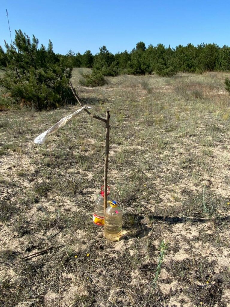 Кінбурнська коса