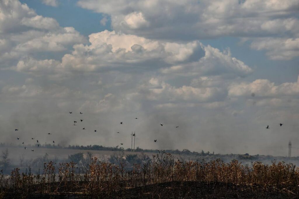 Детонація полів на Миколаївщині