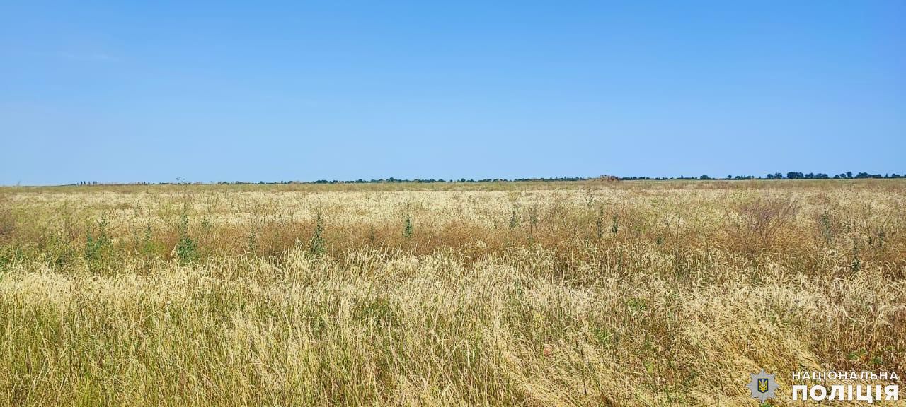 На Миколаївщині захопили земельні ділянки ЗСУ