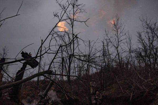 Росіяни знищують українські ліси