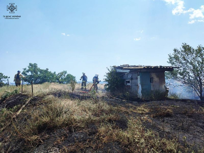 Пожежа сухої трави в Очакові