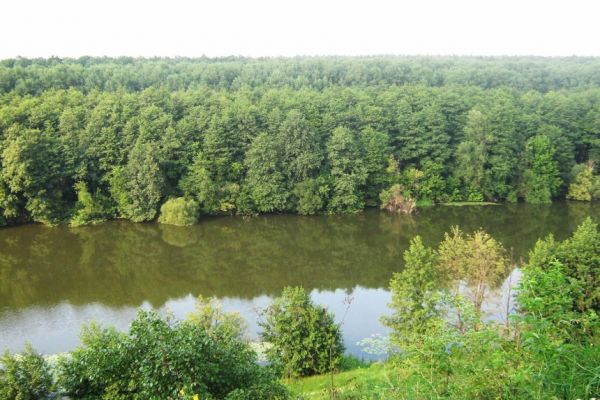 Незаконна приватизація заповідника Лагодівський